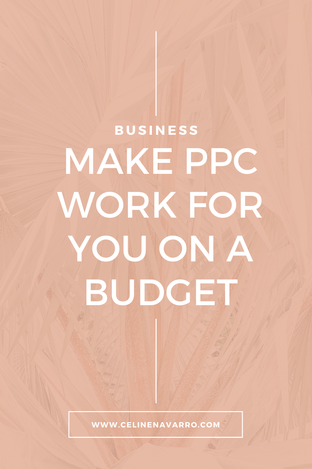 MAKE PPC WORK FOR YOU ON A BUDGET