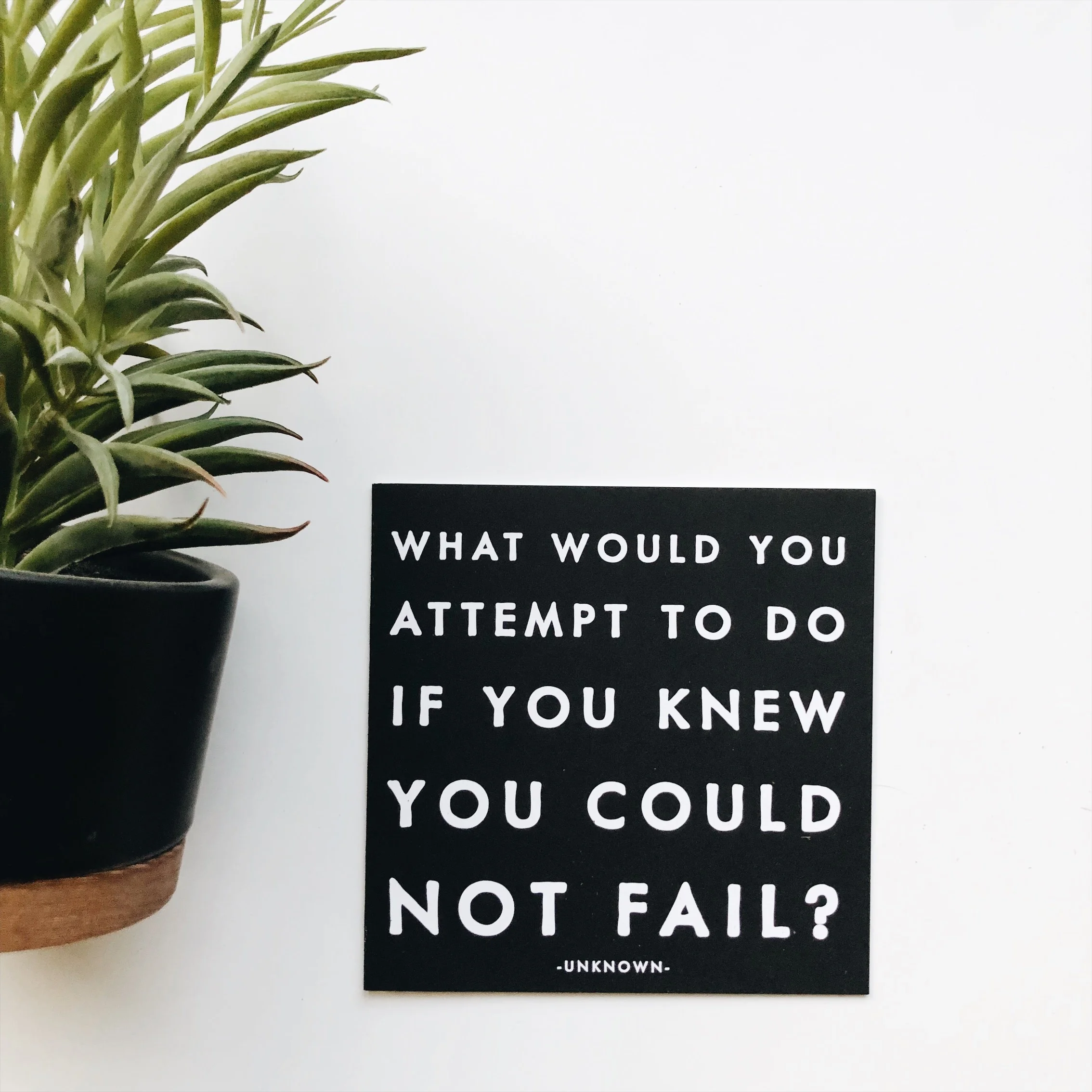 2 YEARS LATER | WE ARE A GOLD TEAM + SPOTLIGHT ON THREE TEAM MEMBERS