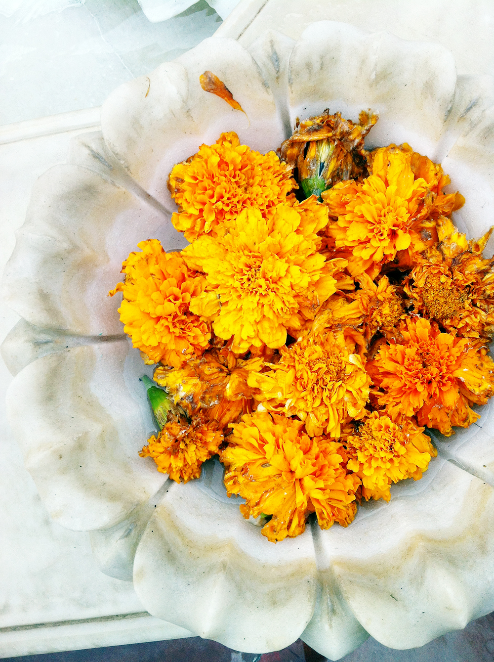 My 2-Week Adventure in India: Exploring Delhi and Rajasthan in 2012