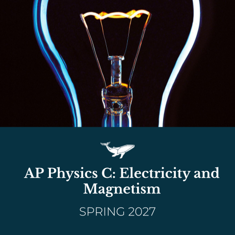 AP Physics C: Electricity and Magnetism