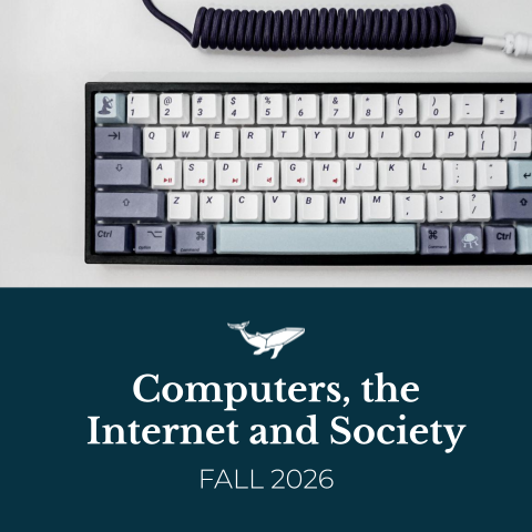 Computers, the Internet and Society