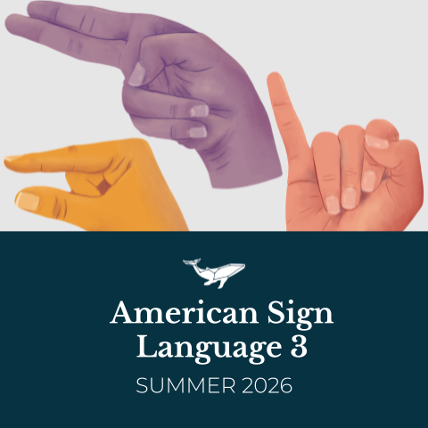 American Sign Language 3