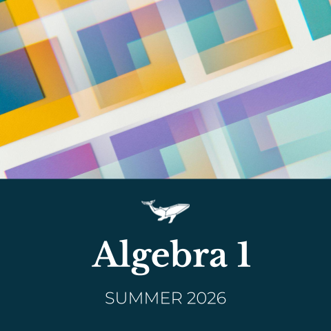 Algebra 1