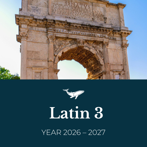 Latin 3