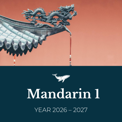 Mandarin 1 (Year 2026 – 2027).png