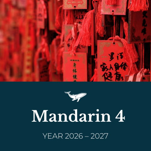 Mandarin 4 (Year 2026 – 2027).png