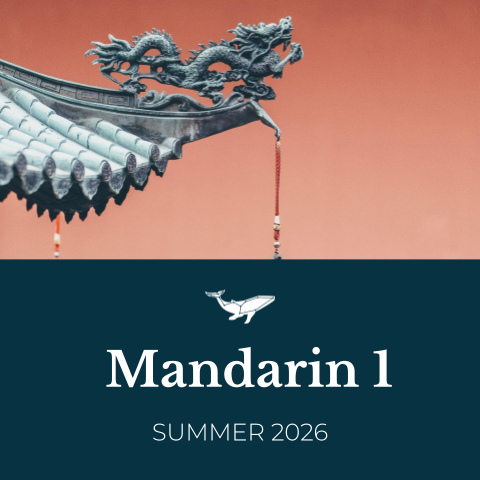 Mandarin 1