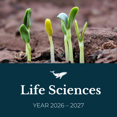 Life Sciences