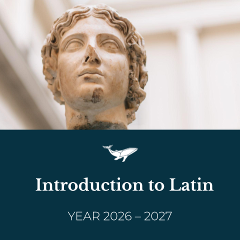 Introduction to Latin