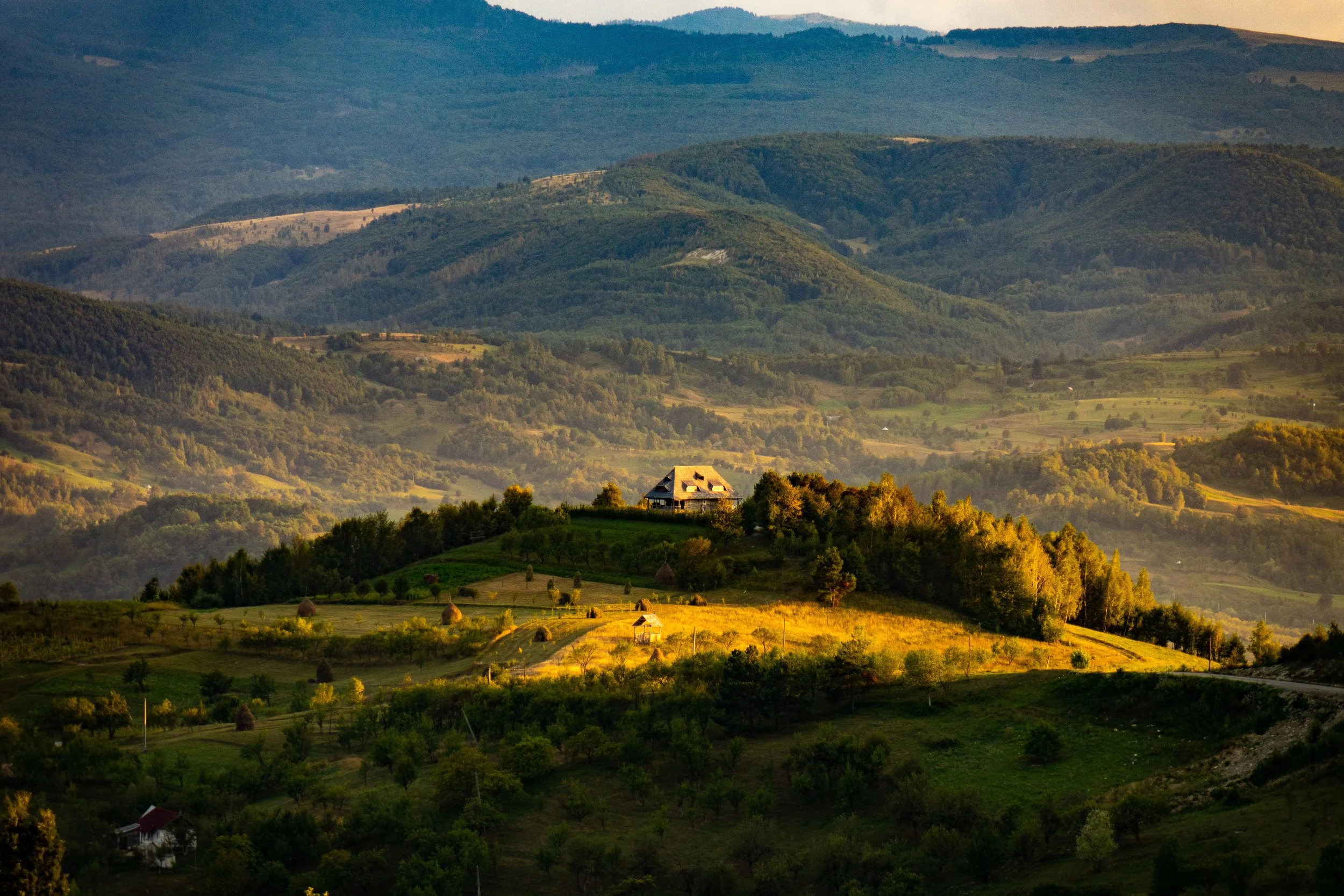 AdobeStock_303827137.jpeg