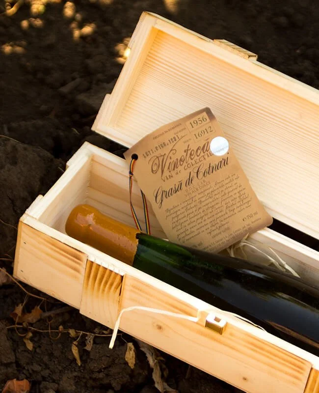 Open wooden box containing a vintage wine bottle with a green and gold foil top and a wine tasting tag labeled 'Vinoteca' from 1956, placed on dark soil with small plants.