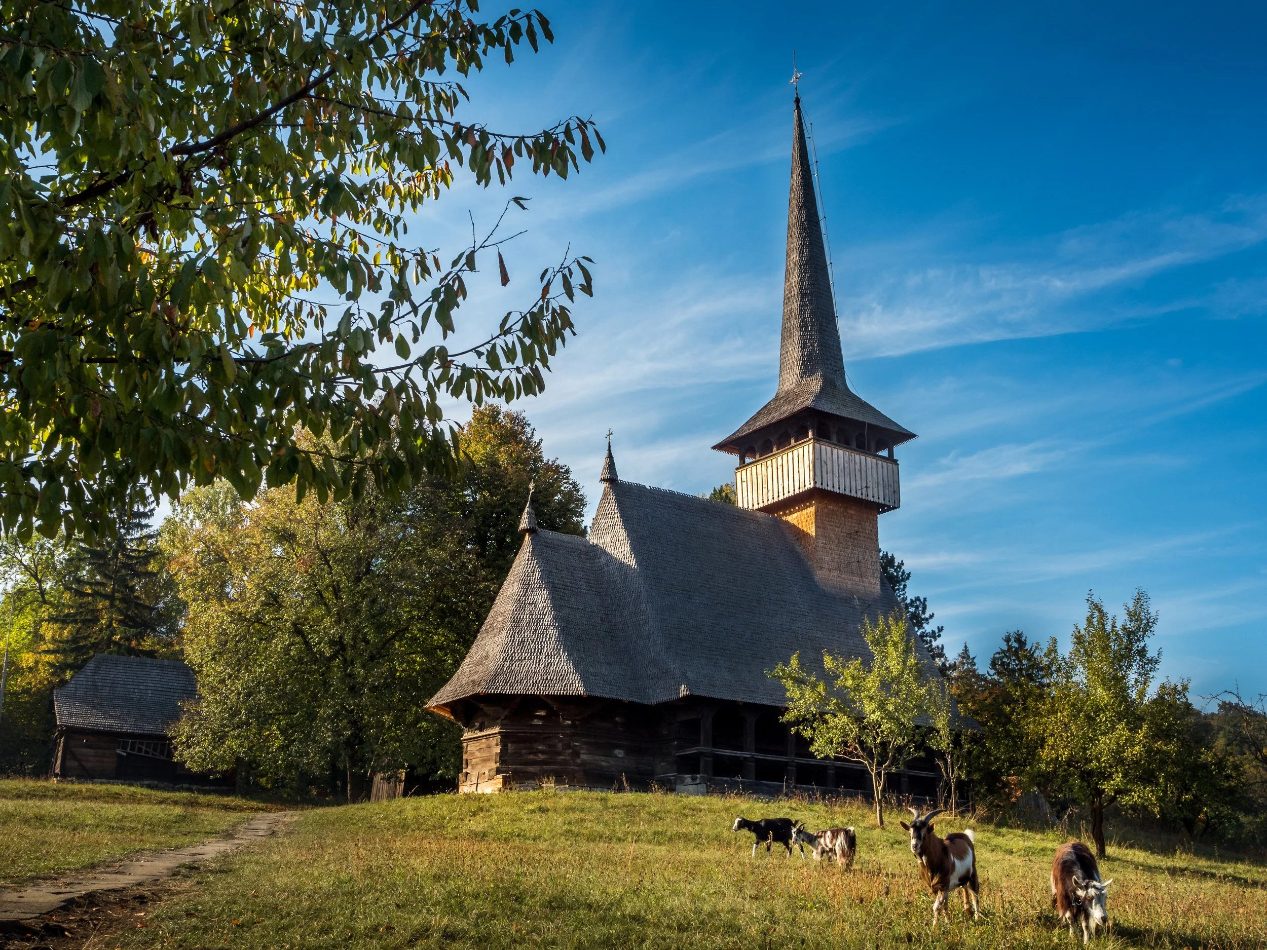 A rustic wooden church with a tall spire surrounded by trees and a grassy field with goats, under a blue sky.