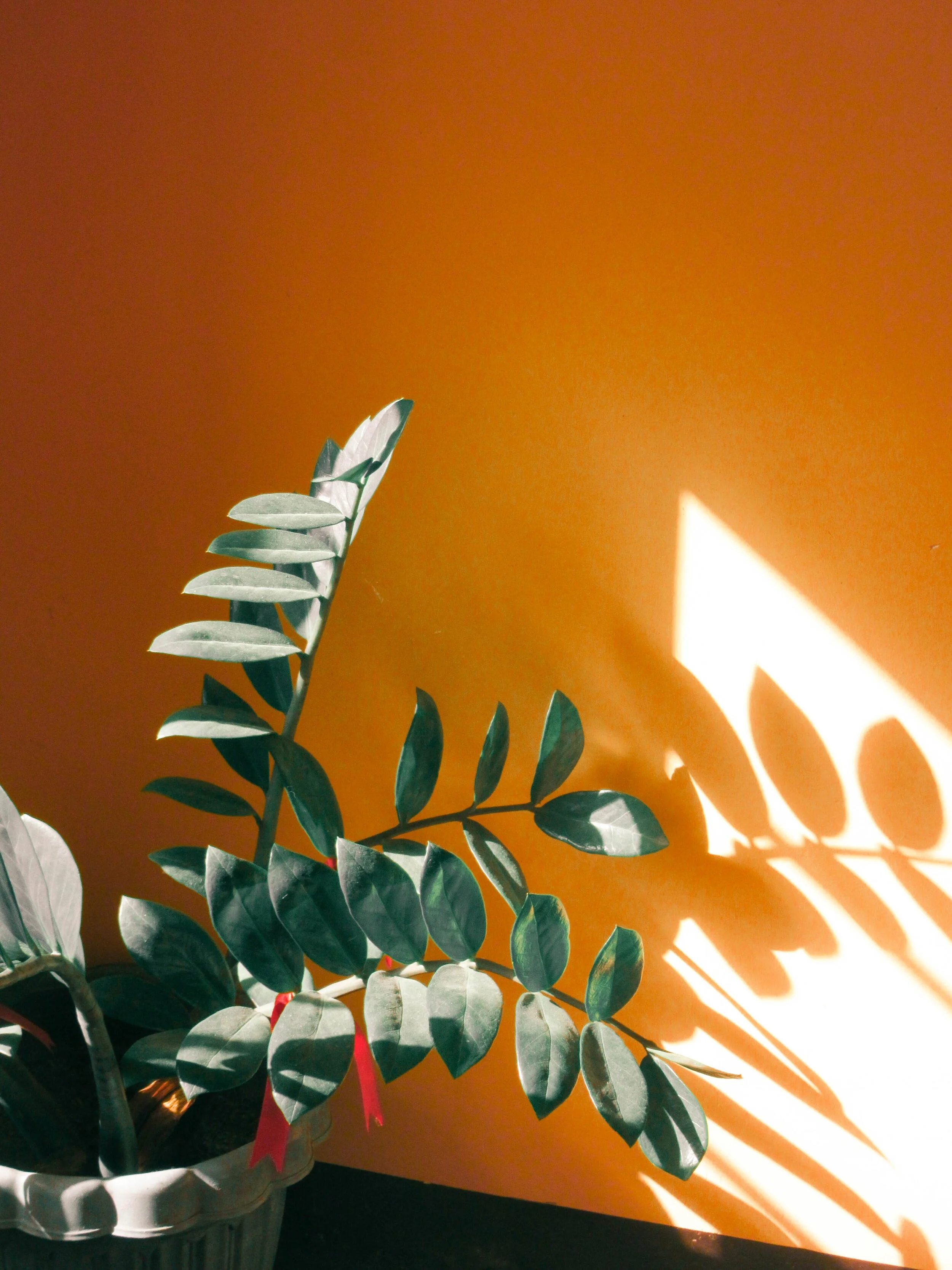 Blog Post Title Three