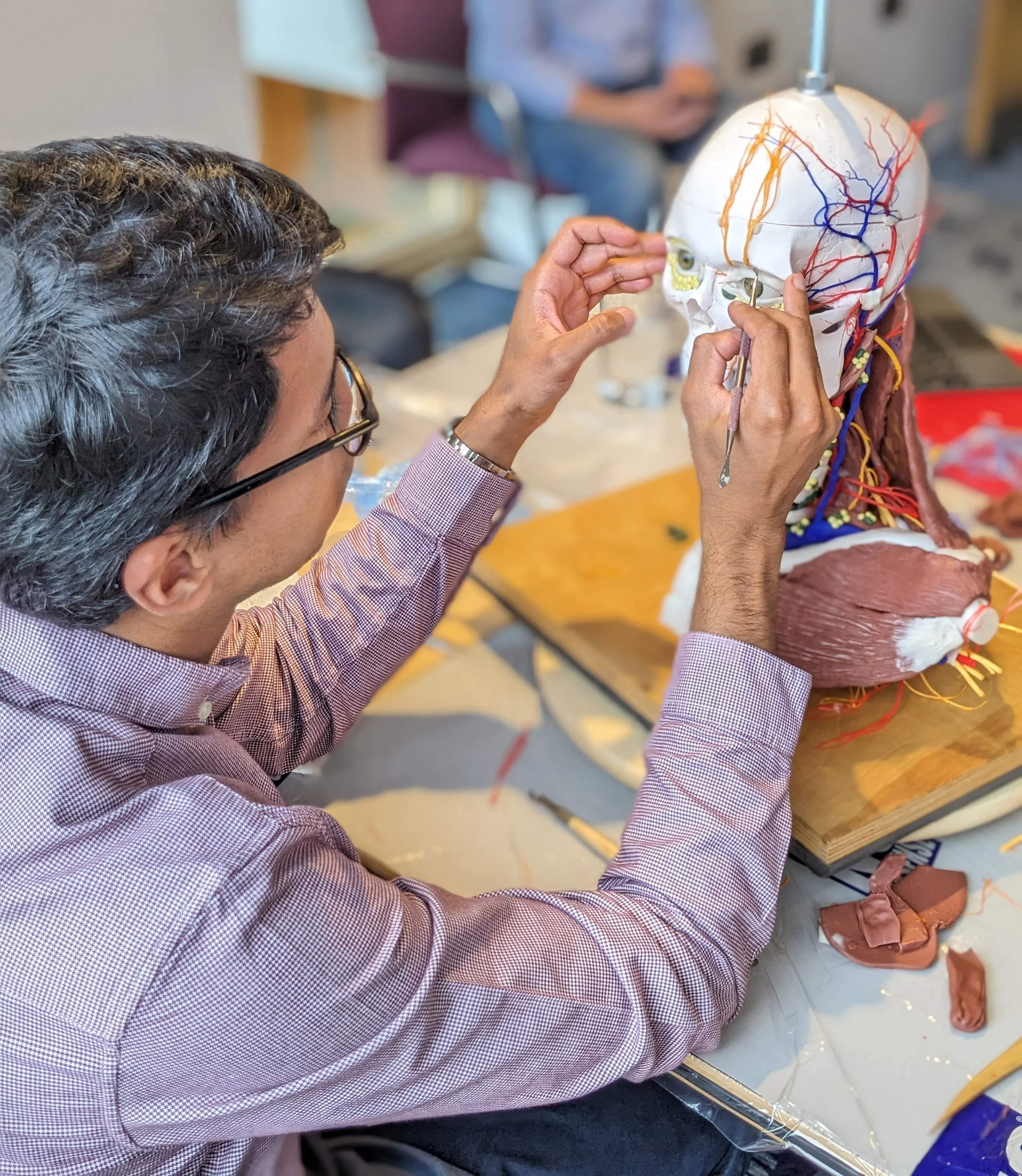 Image of the course in action. Surgical Sculpture – Facial Aesthetics Course