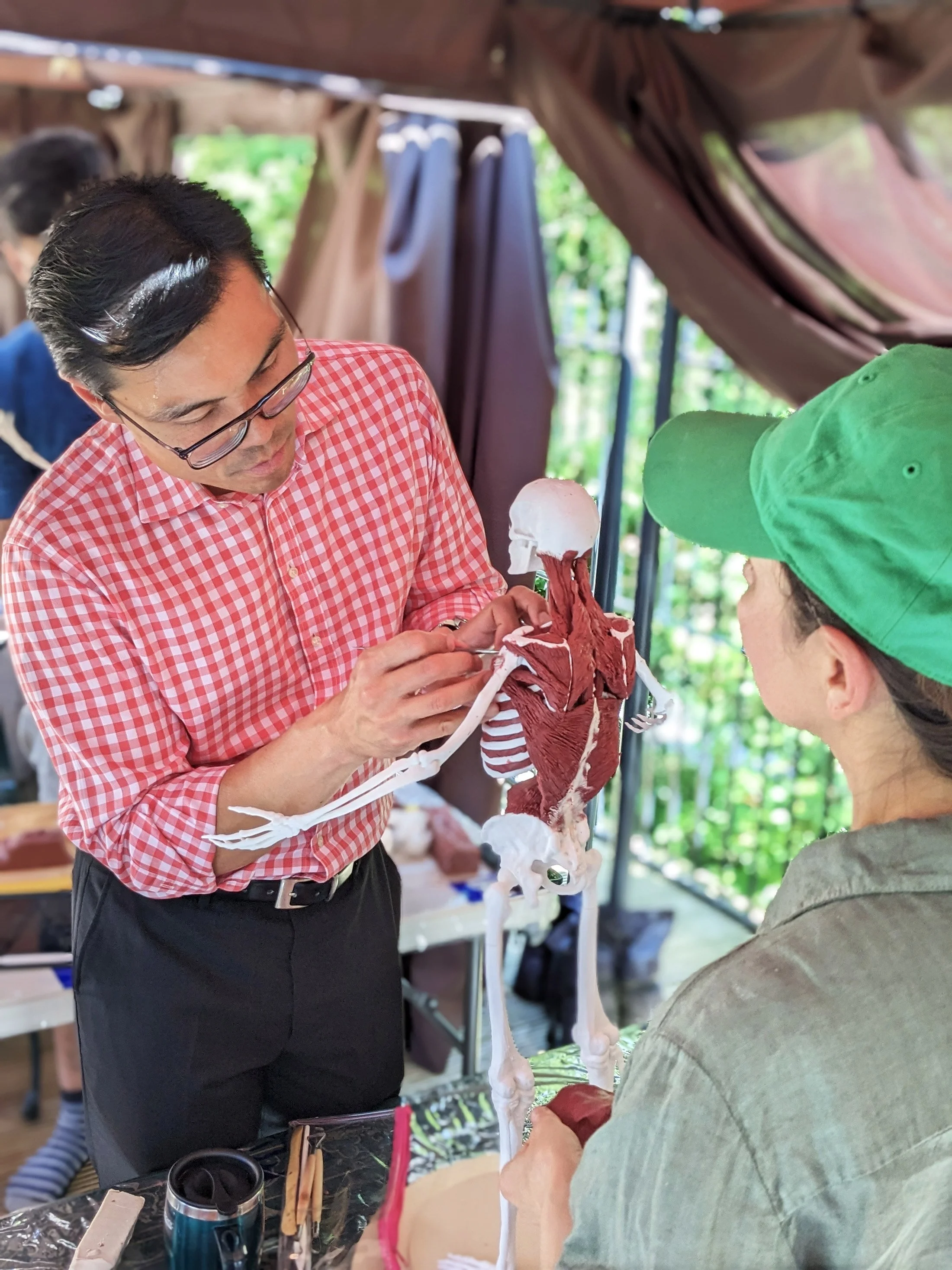 Image of the model and course in action. Surgical Sculpture – Whole Body Musculoskeletal Course