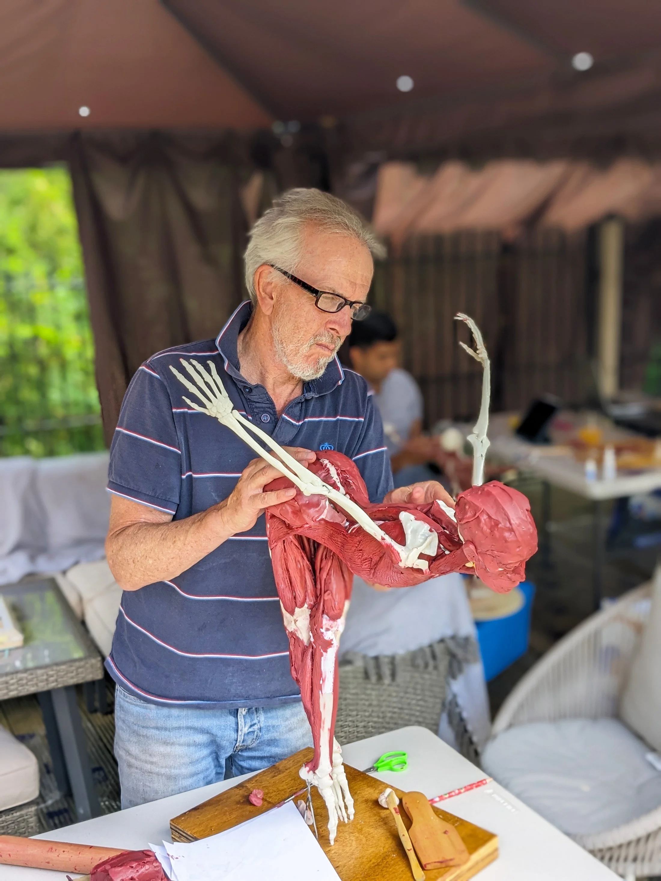 Image of the course in action. Surgical Sculpture – Whole Body Musculoskeletal Course