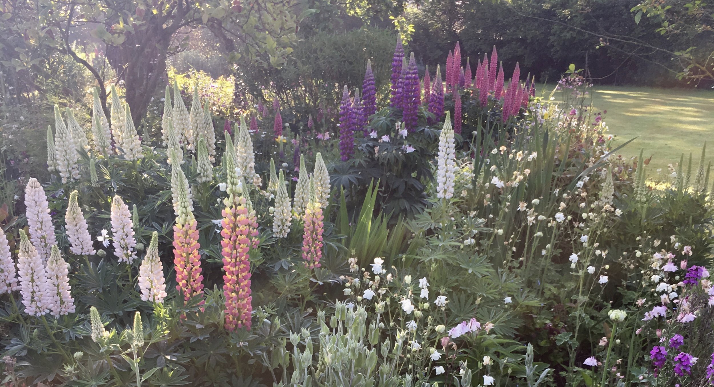 Garden maintenance: Keeping your new garden in tip top condition (soft landscaping)