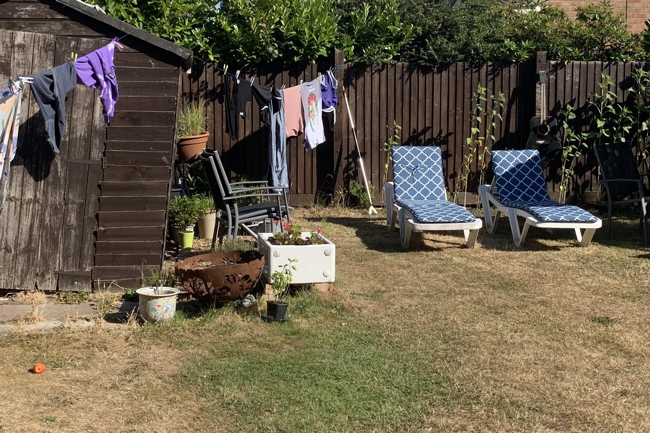 The garden before work started