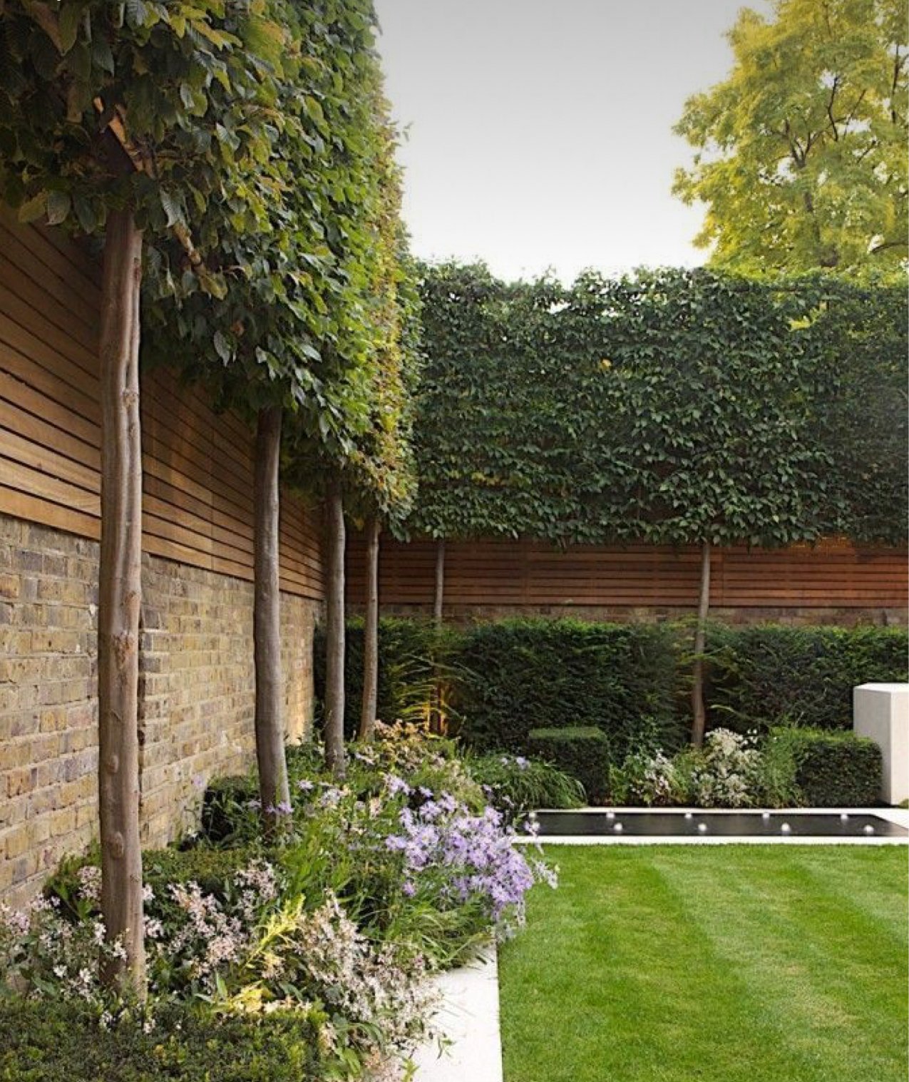Creating privacy and seclusion in new garden design and landscaping