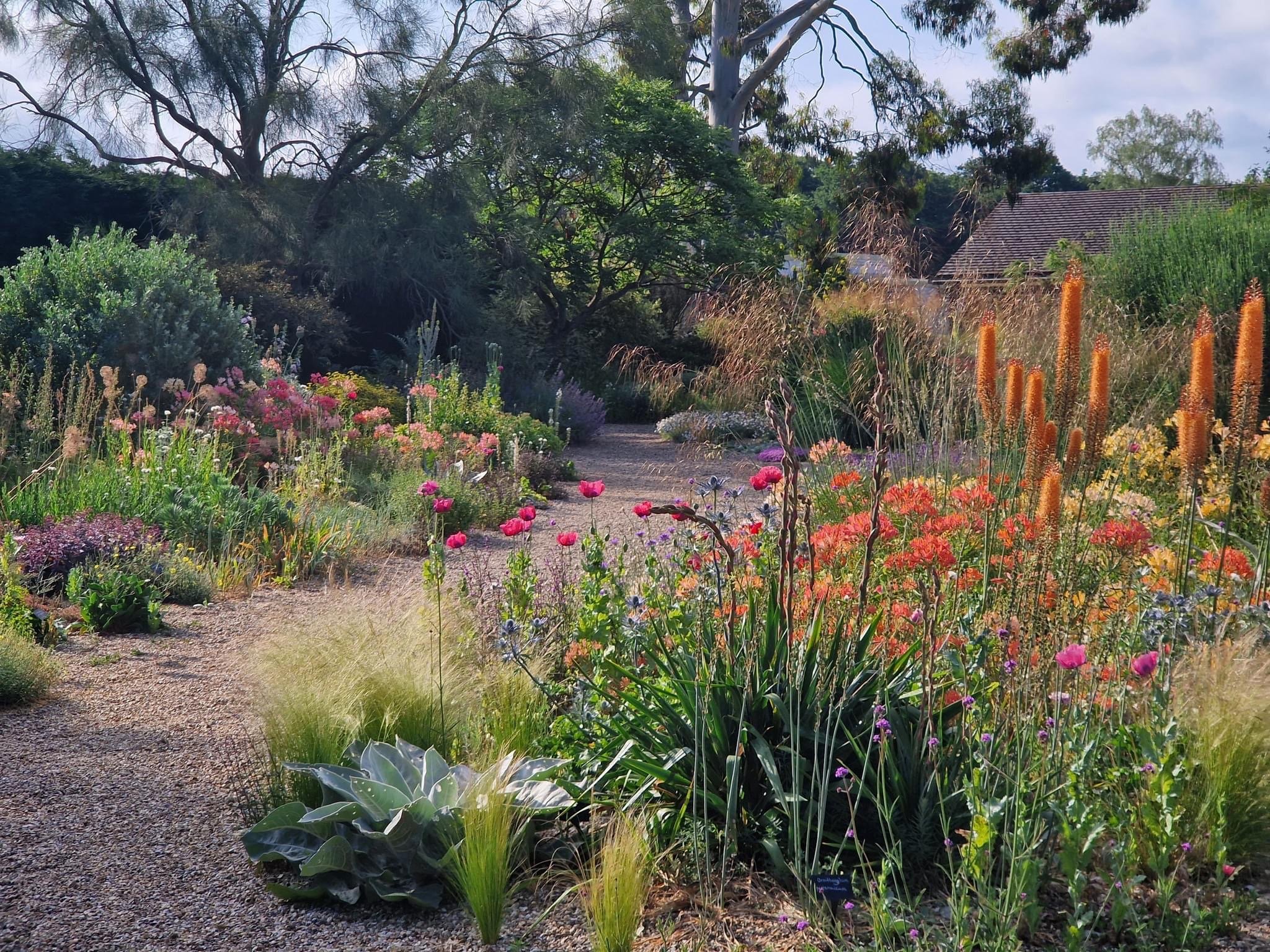 Garden ideas: How to create the perfect shingle dry garden