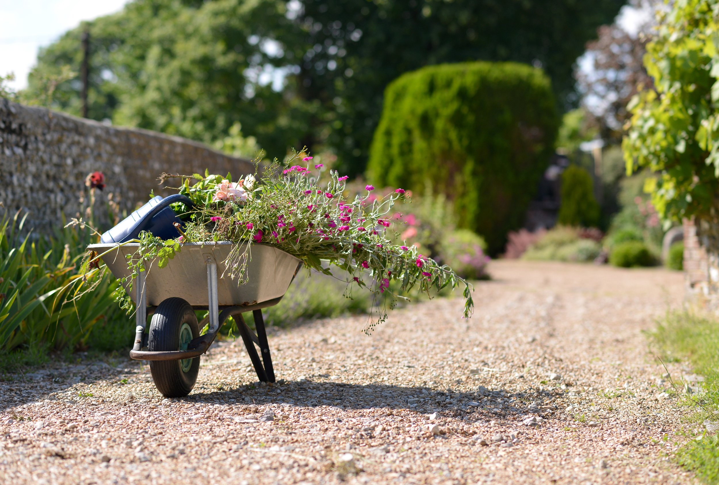 Garden maintenance: Keeping your new garden in tip top condition: soft landscaping