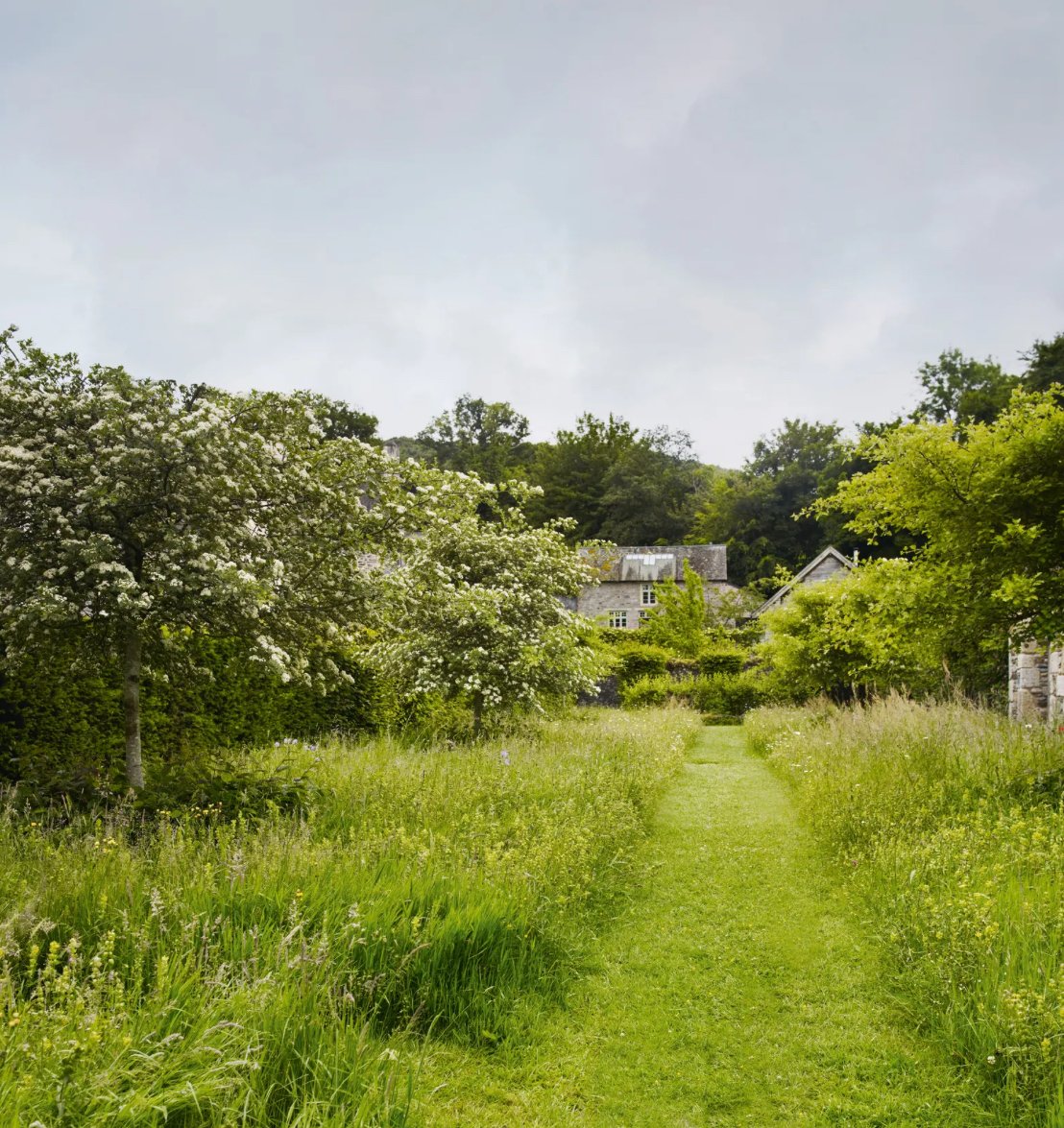 Garden trends: 7 garden trends to feed your heart and nourish your soul