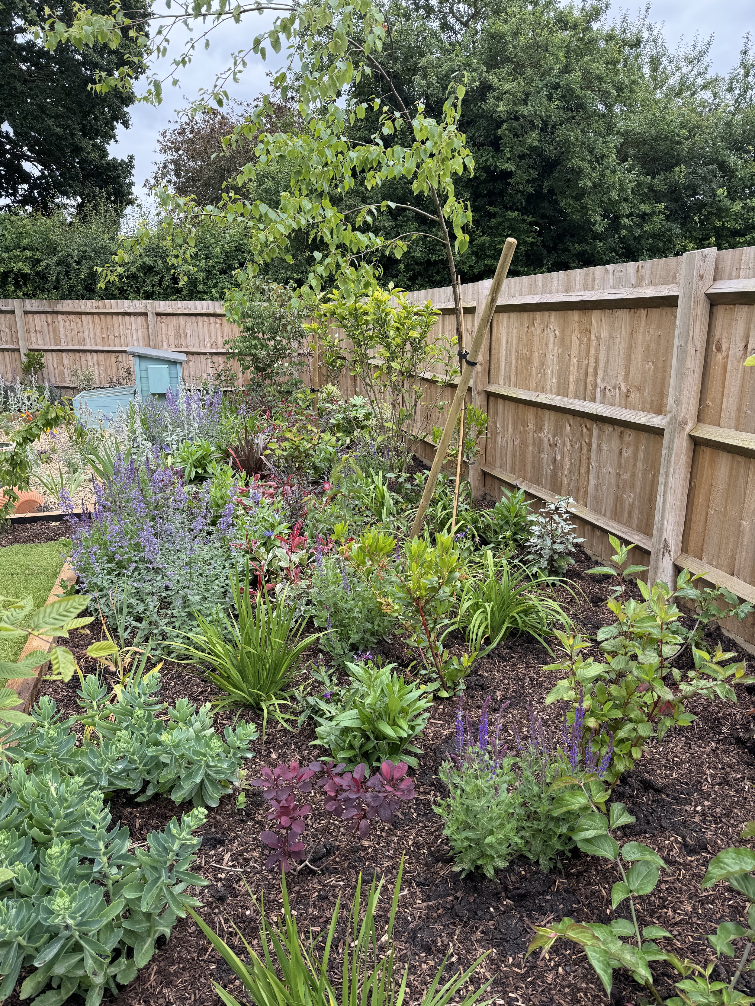 Planting along the main L-shape border