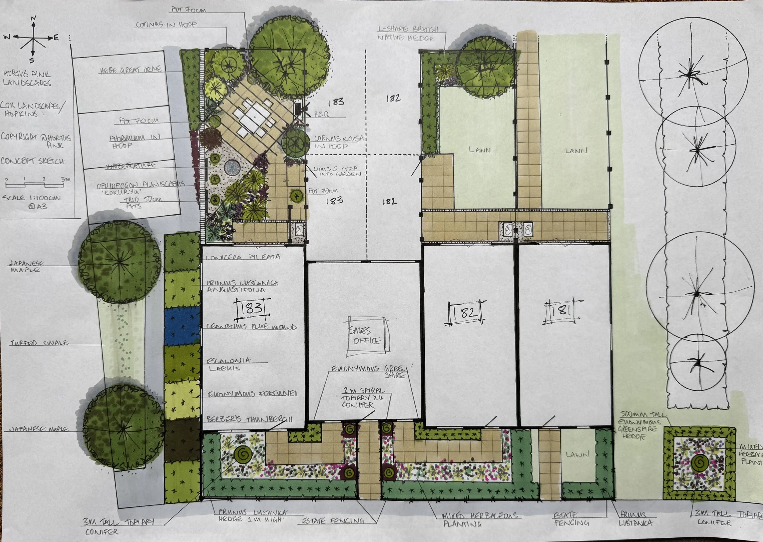 Show home garden design for the sales houses