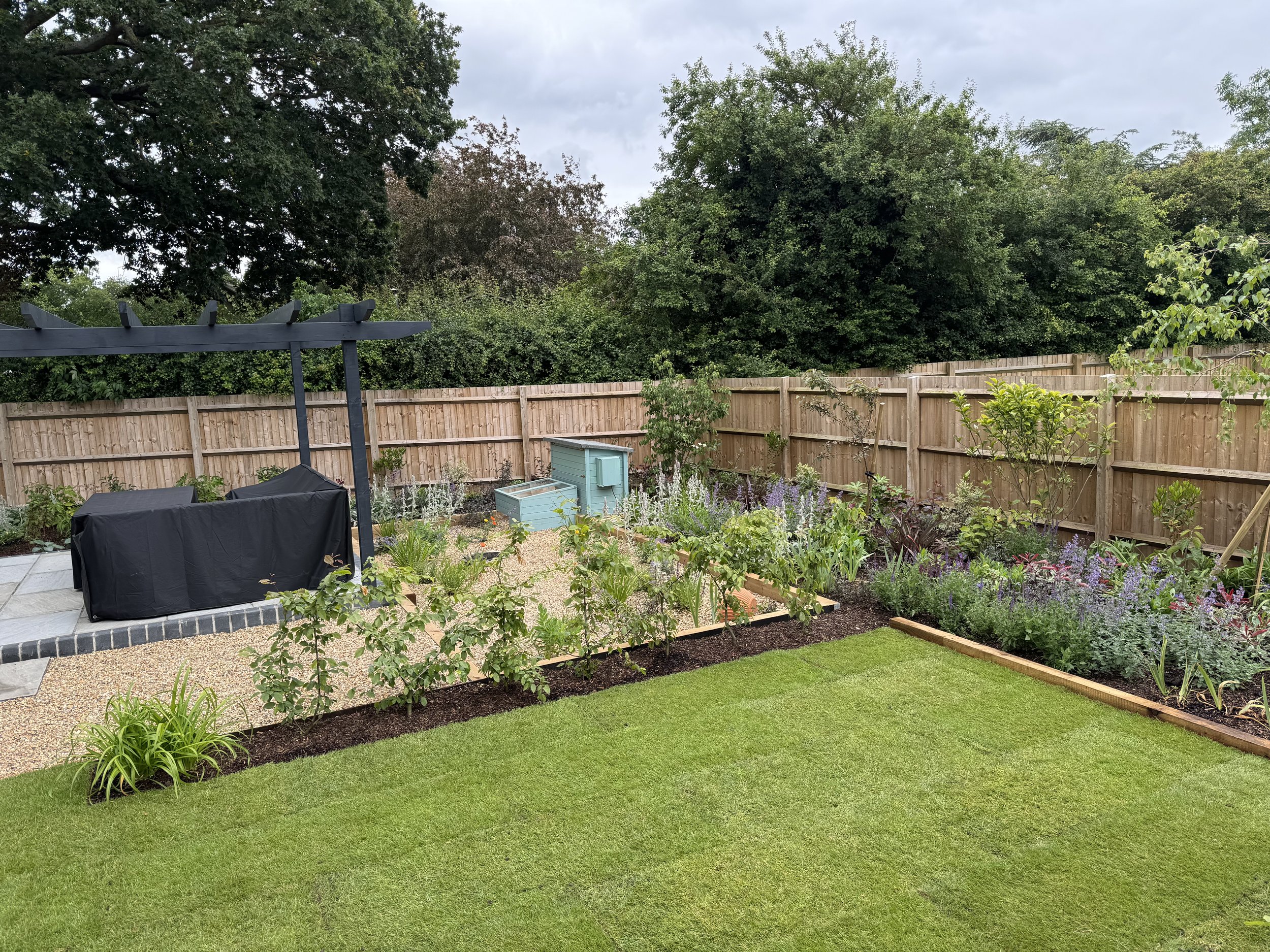 View across the garden