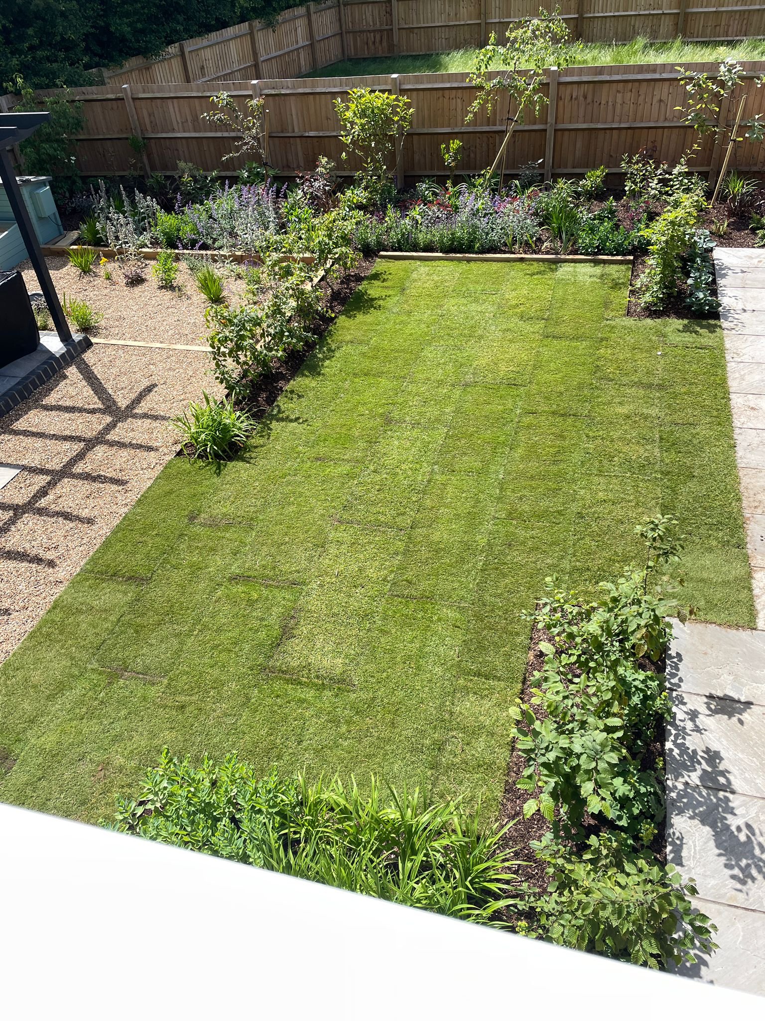Lawn with hedging