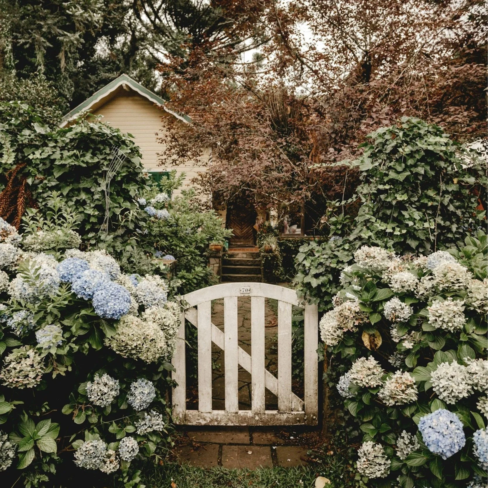 The english cottage garden: dreamy rambling beauty