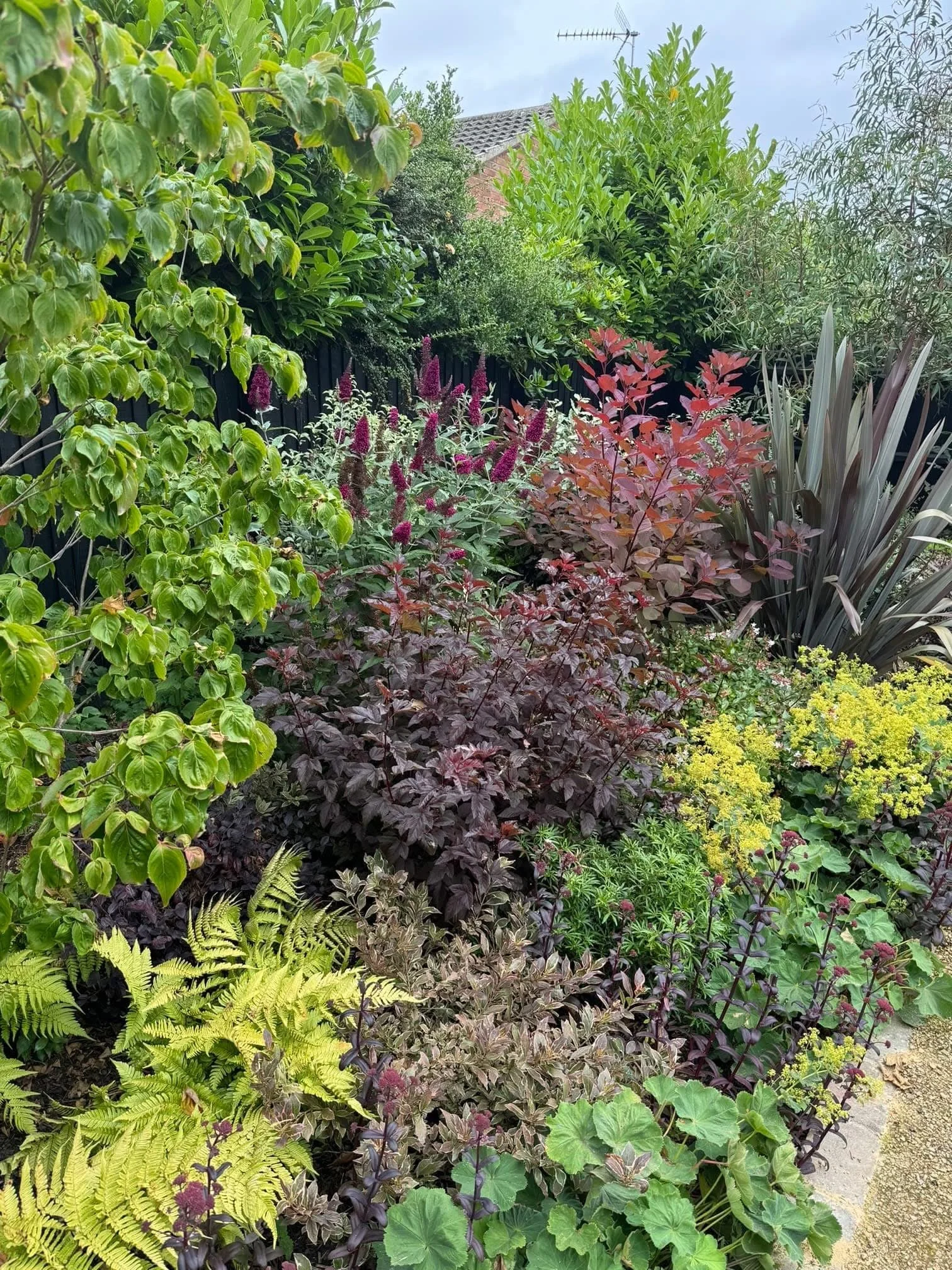 Mature border planting after 3 years showing lush planting and plenty of colour