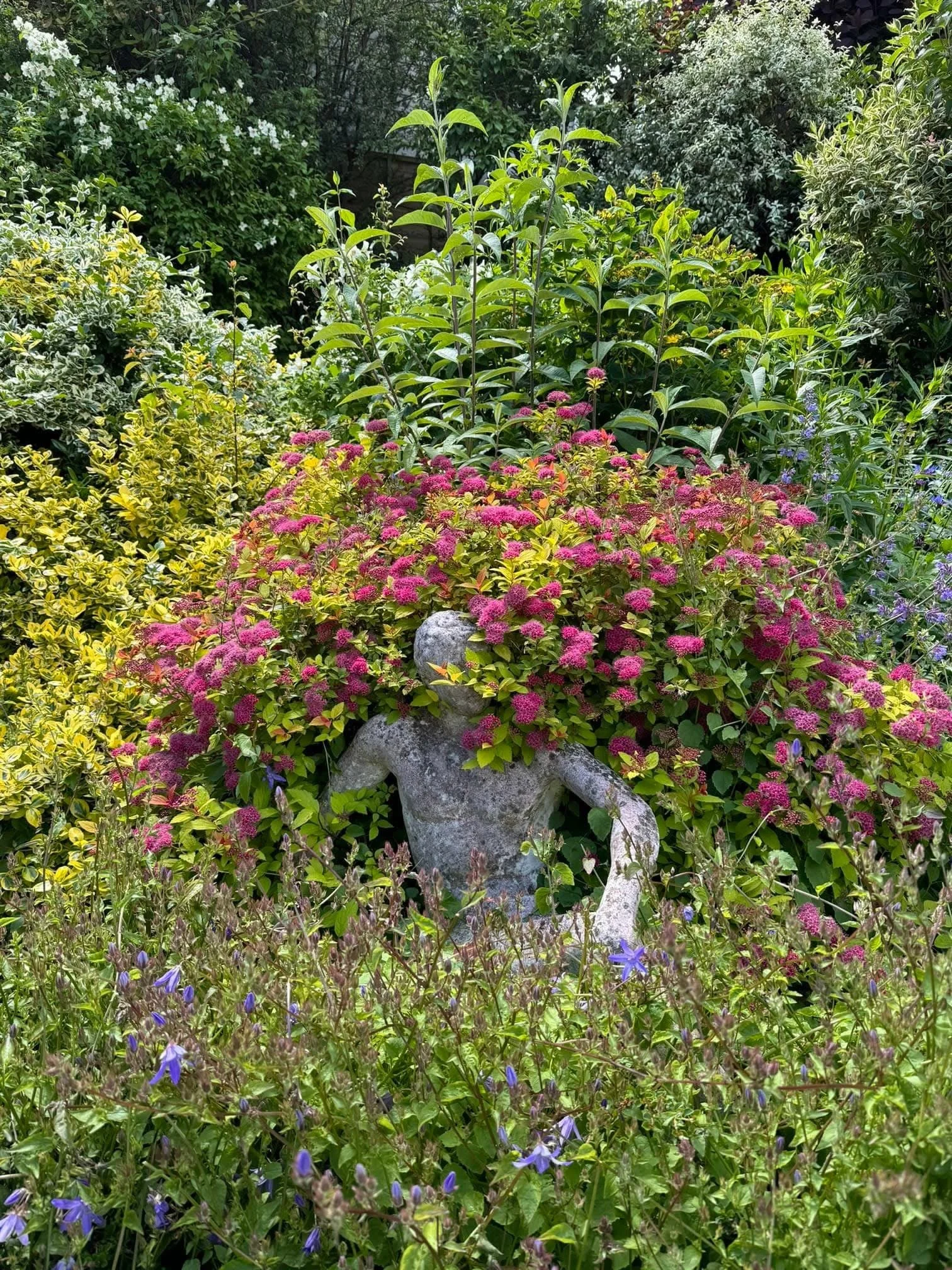 A greek statue rests amongst lush planting with pretty colours or pink, red and yellow