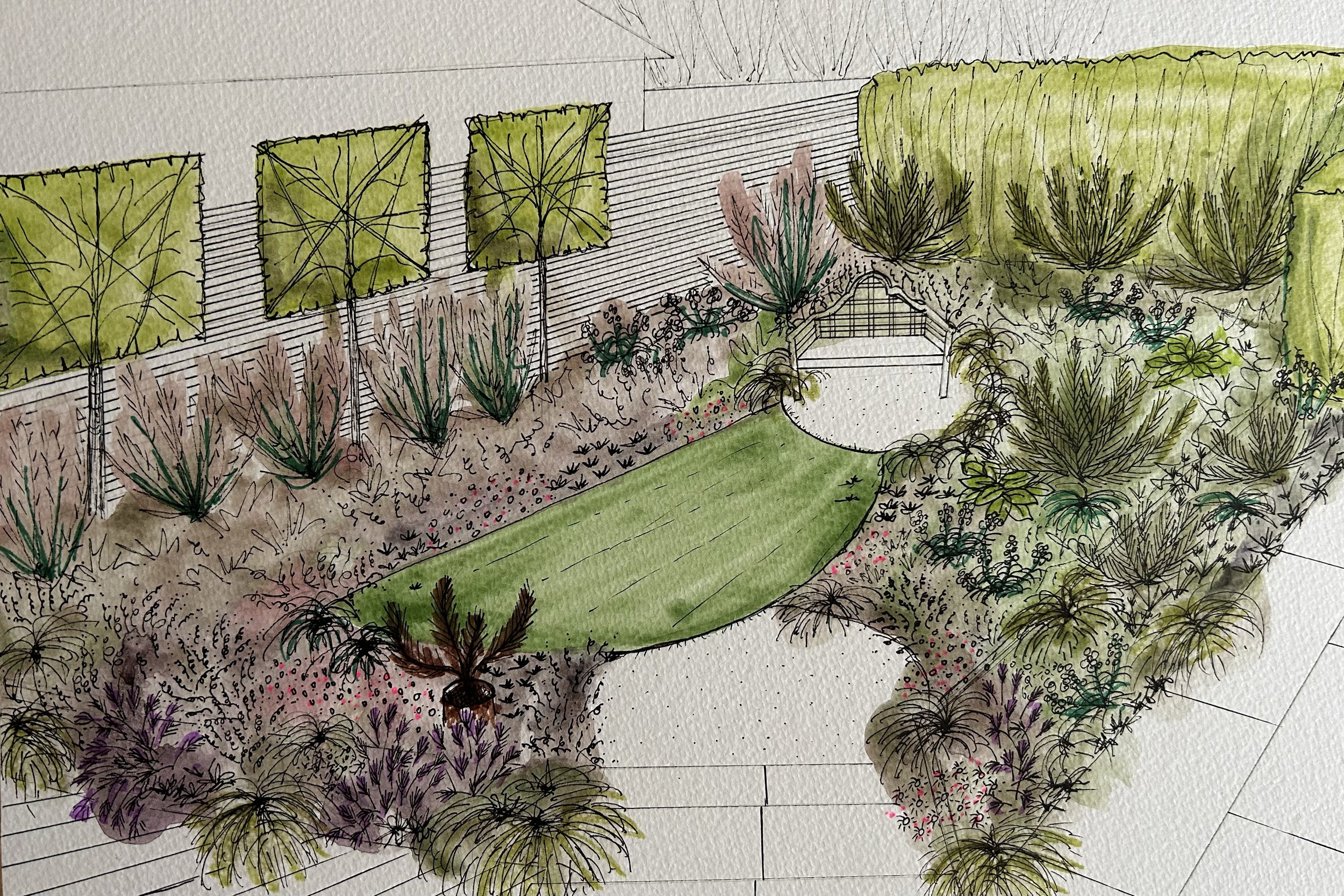 A garden design perspective illustration for a small back garden renovation. Pleached hornbeam trees provide height and greenery for an ugly view, along with hedges for added greenery. Black painted slatted fencing adds a contemporary slice of black