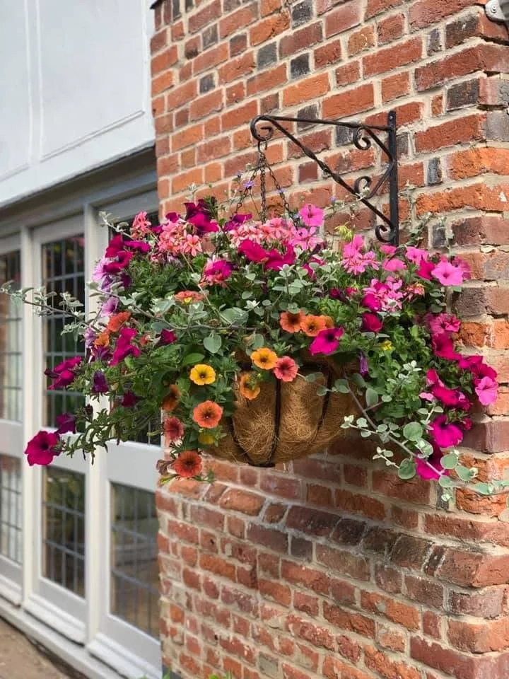 hanging basket with bright hot colours in pink, red and orange