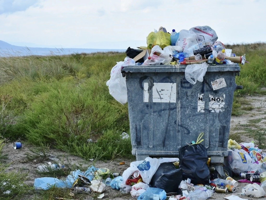 Rethinking the use of plastics in your garden