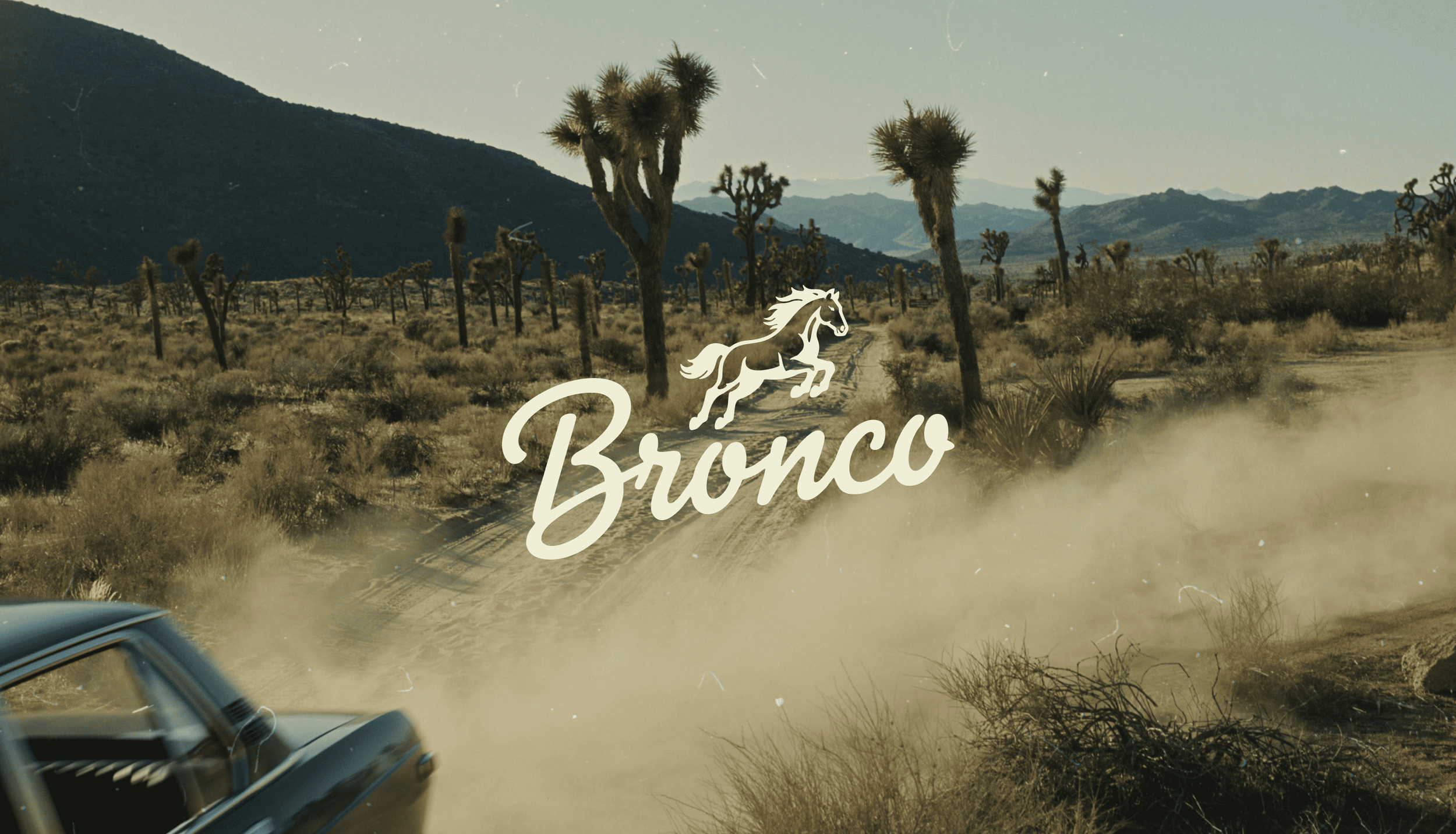 Brand Identity & Website Design for Bronco