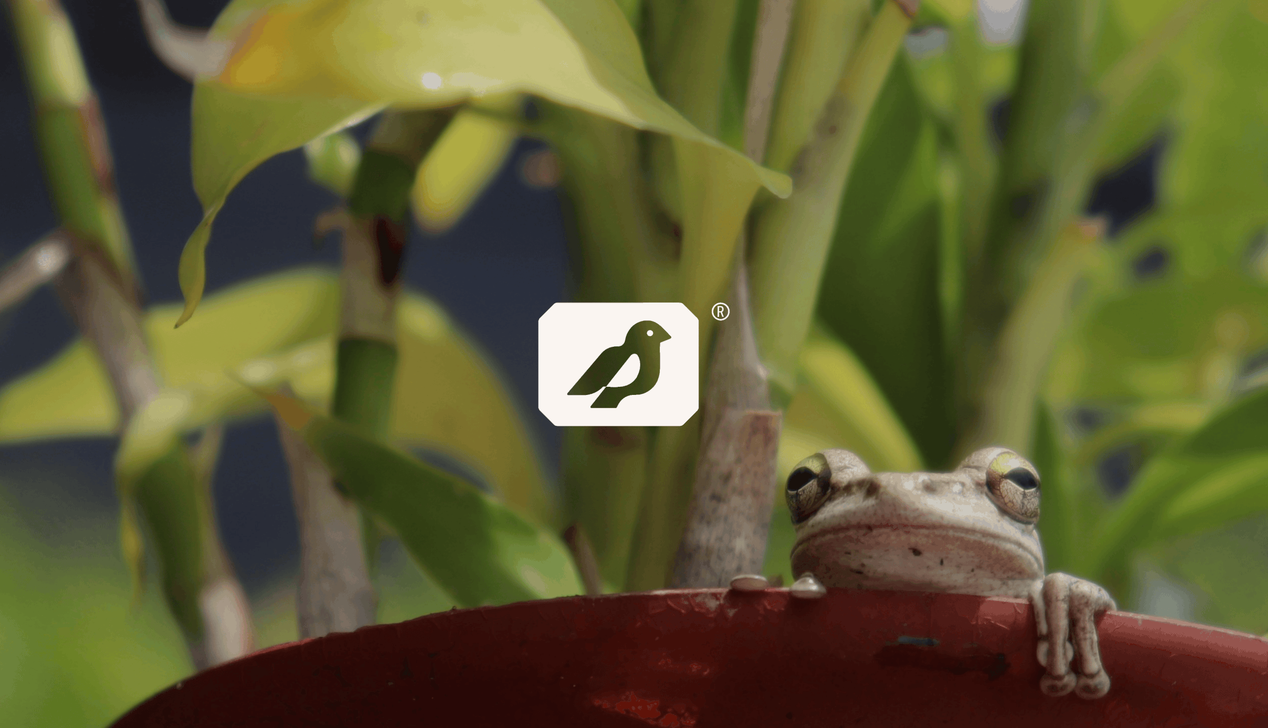 7.gif
