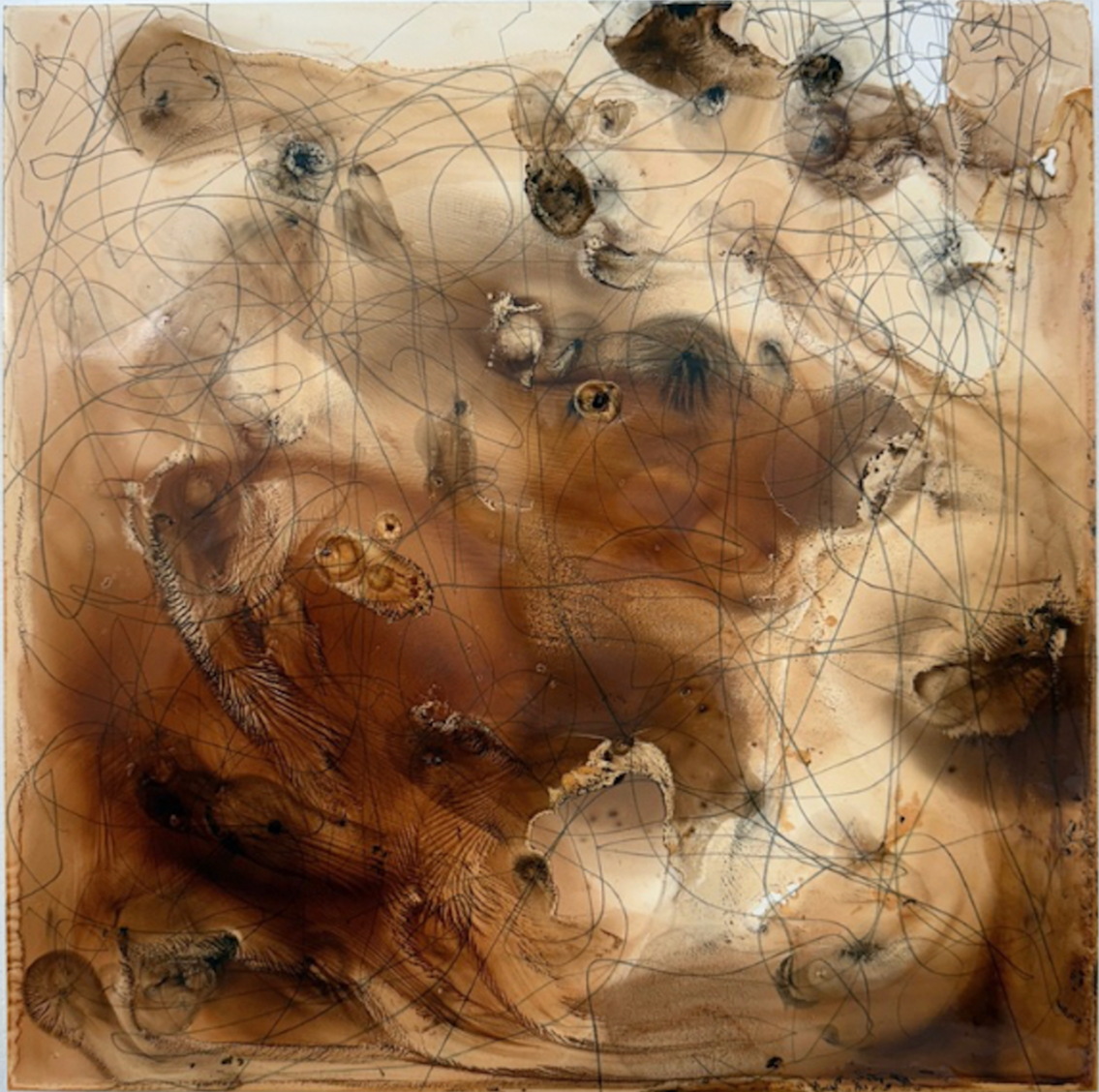 Kellie Romany
Signaling a swell, 2025
Oil paint and graphite on board
12 x 12 inches