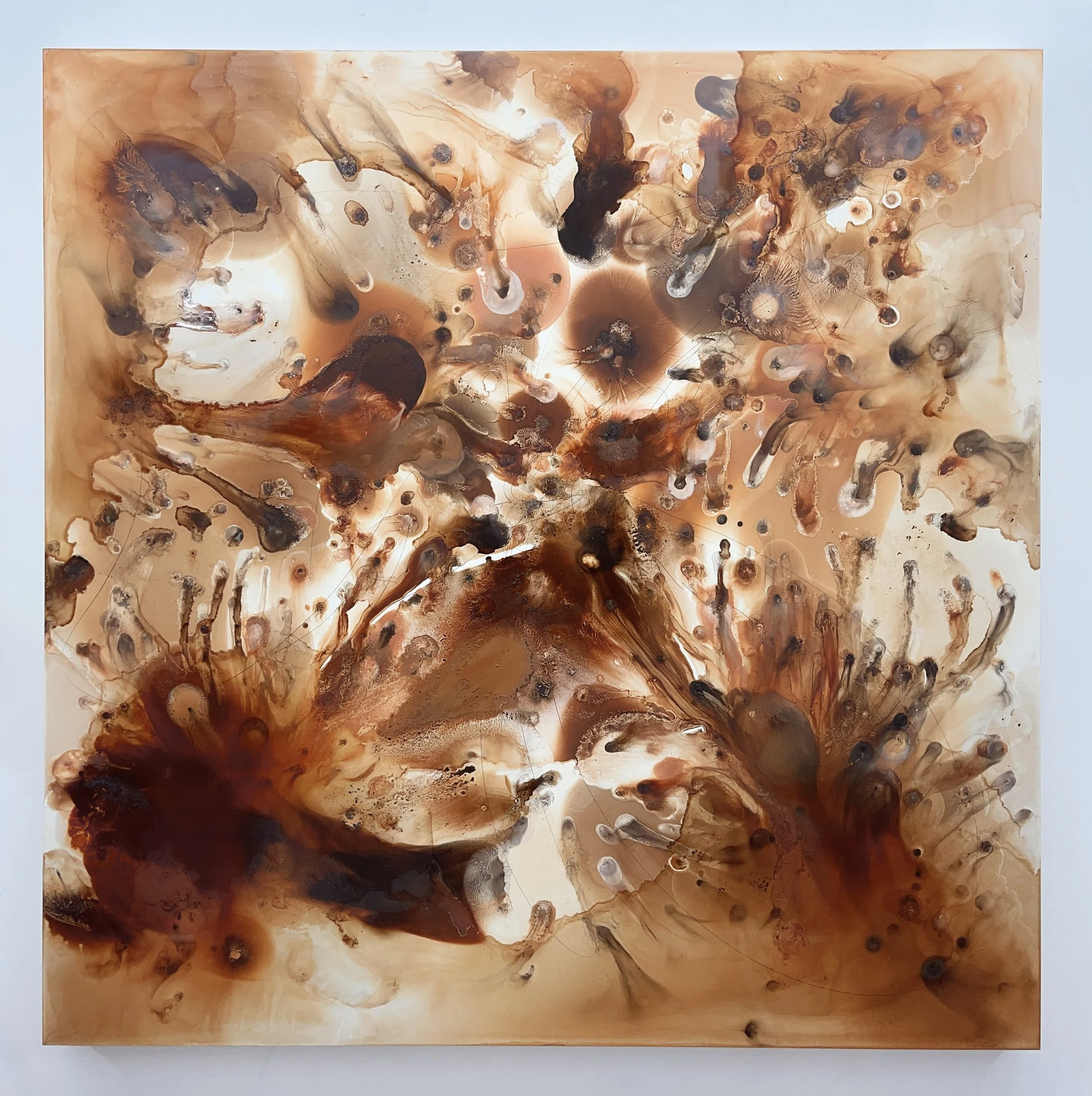 Kellie Romany
Intertwined, 2025
Oil paint and graphite on board
48 x 48 inches / 121.9 x 121.9 cm
