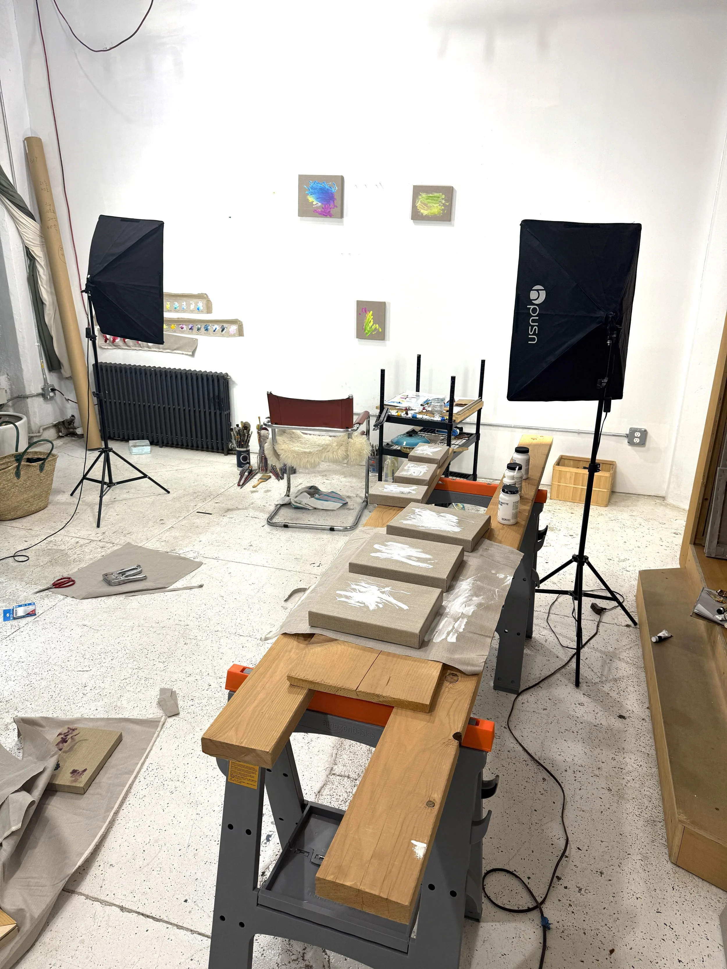 Ariel Mitchell's studio