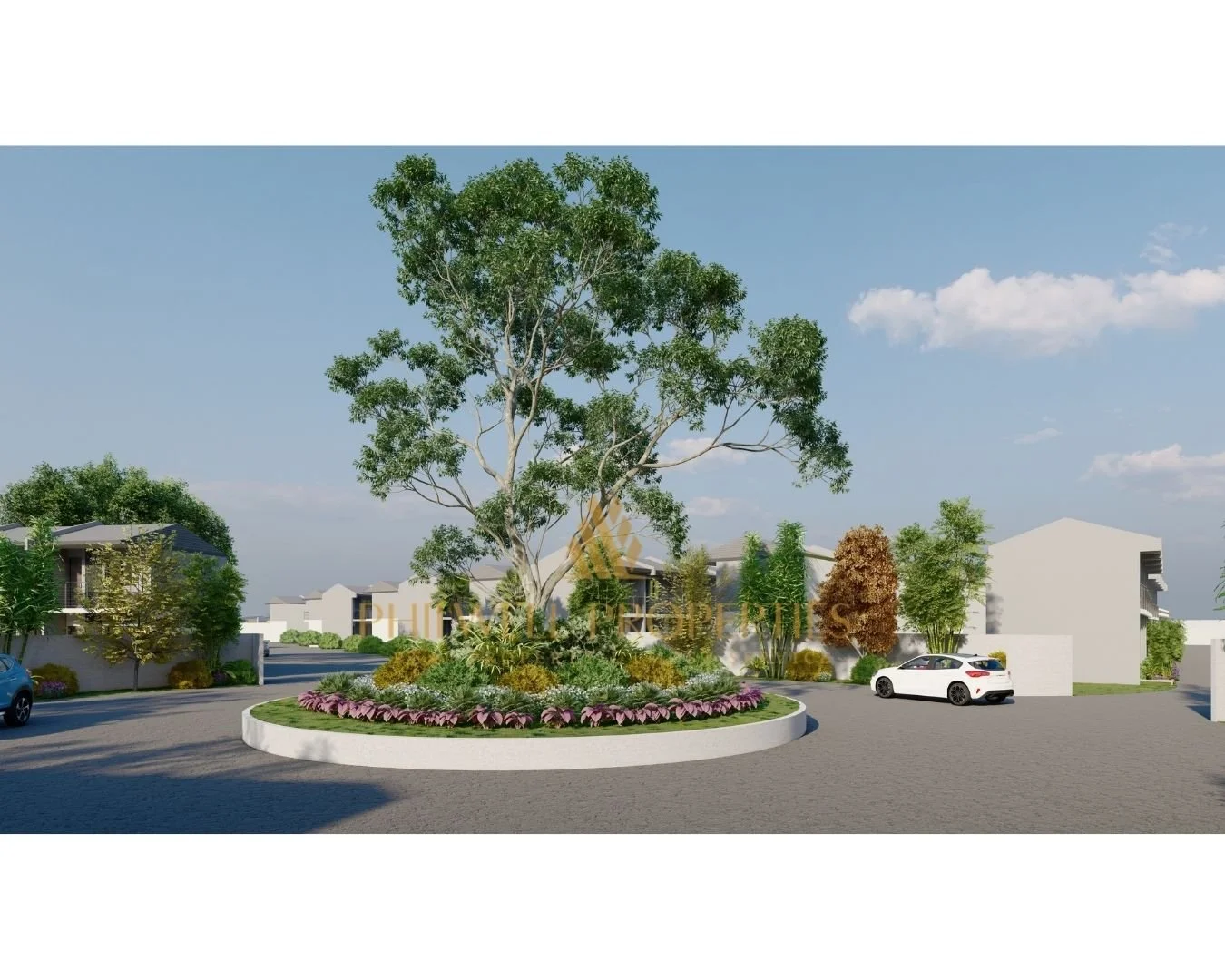 GW Rotunda Tree.jpg