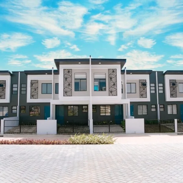 Pandi-Project-2-600x600.jpg