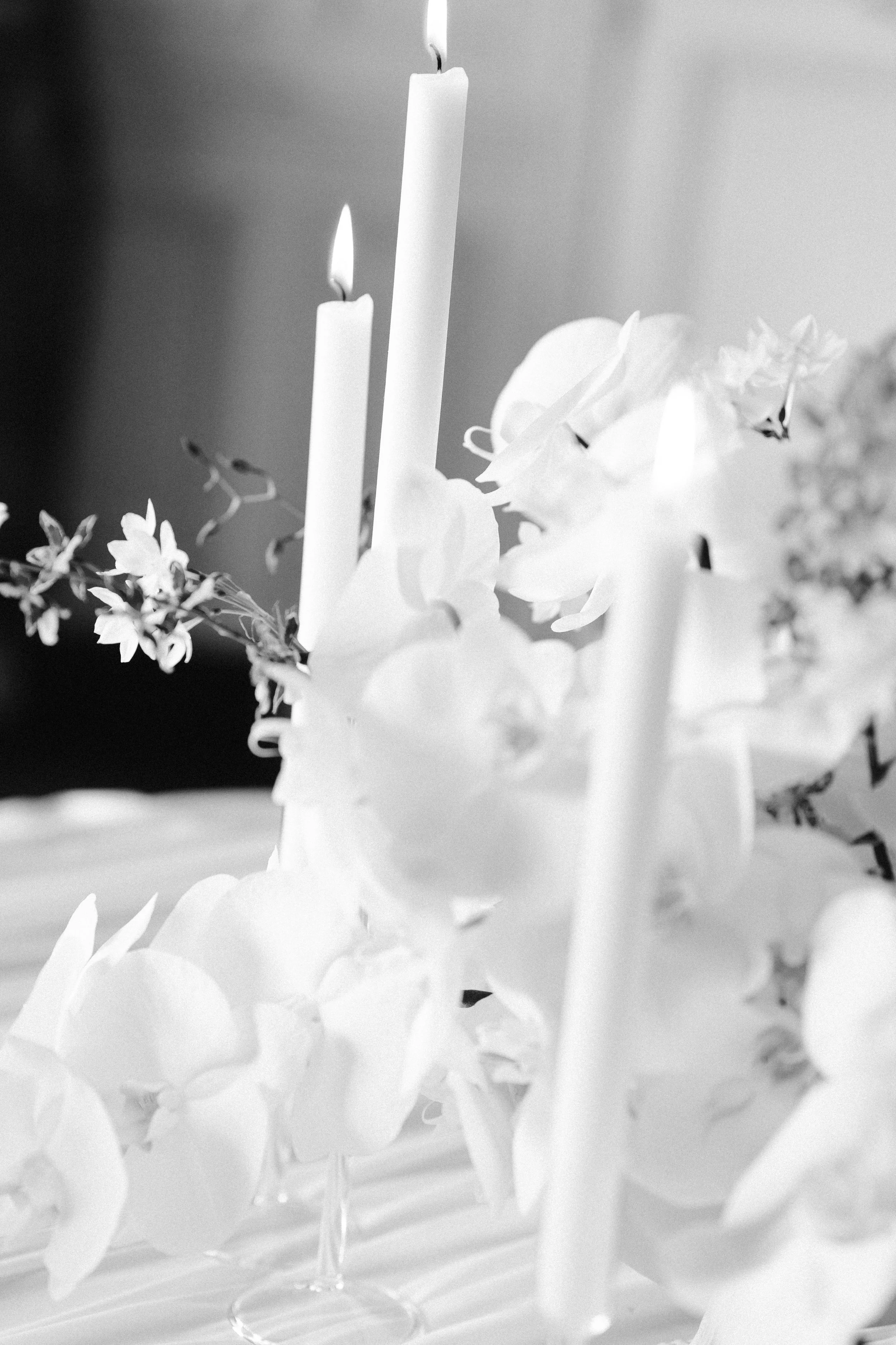 RaqueldeJagerphotography--330.jpg