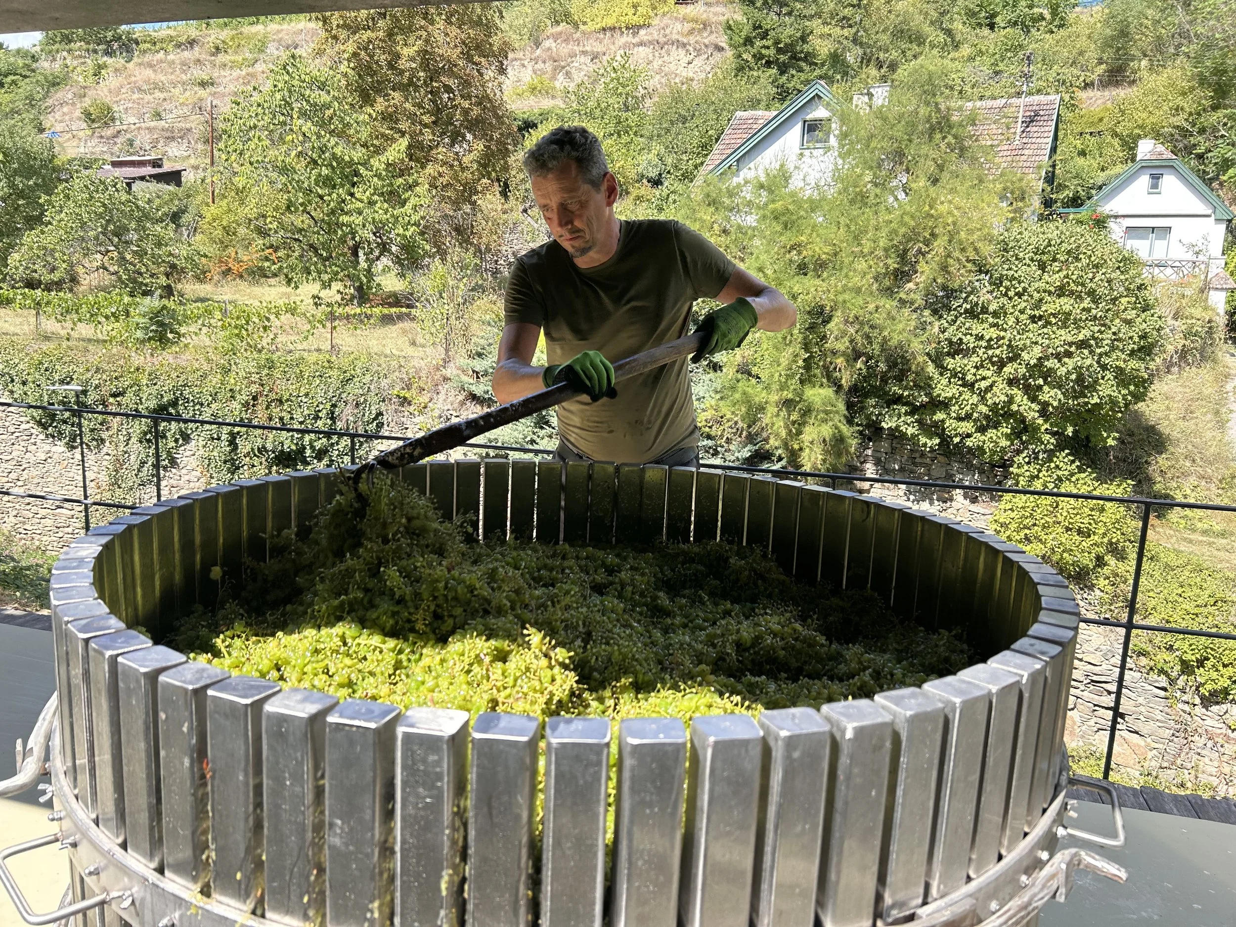 Mann arbeitet mit einem Spaten in einem großen Weinkeller aus Metall, im Hintergrund sind grüne Bäume und Häuser auf einem Hügel zu sehen.