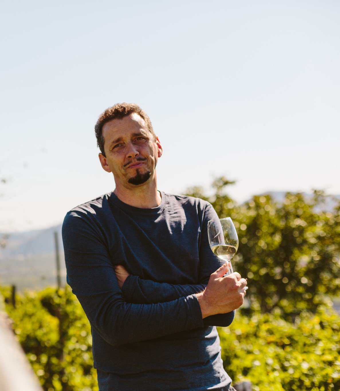 Mann steht im Weinberg bei Sonnenschein, hält ein Weinglas mit weißen Wein, trägt ein schwarzes T-Shirt, schaut nach oben, mit verschränkten Armen.