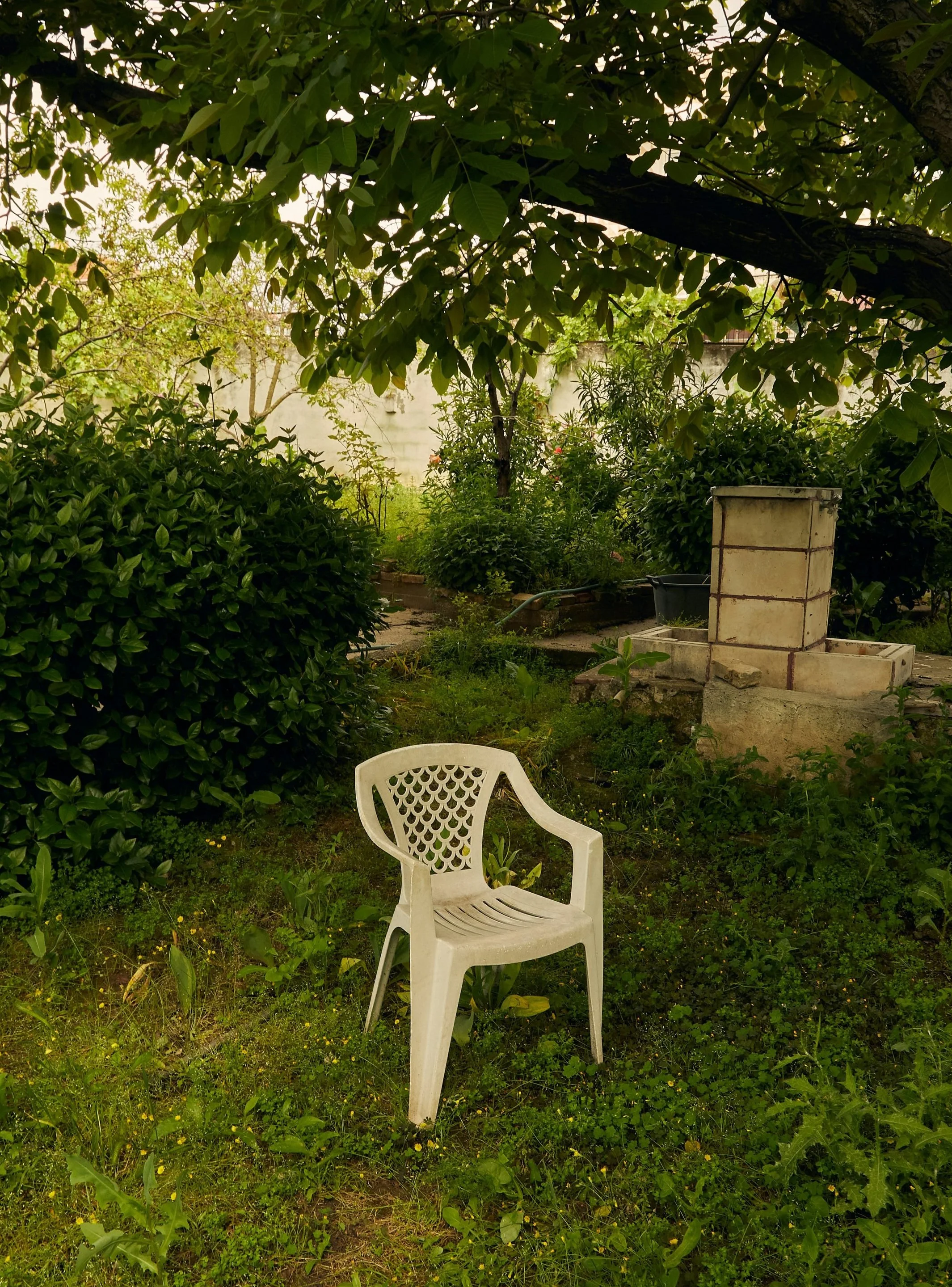 A white plastic outdoor chair on a grassy lawn with bushes and trees in the background.
