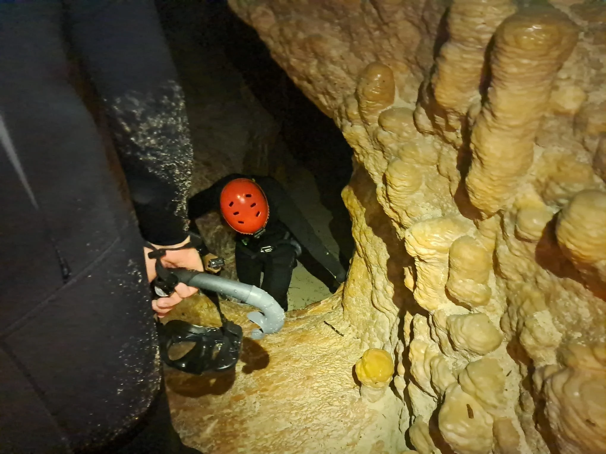 WhatsApp Image 2025-11-04 at 07.25.02_b5f7f03c.jpg