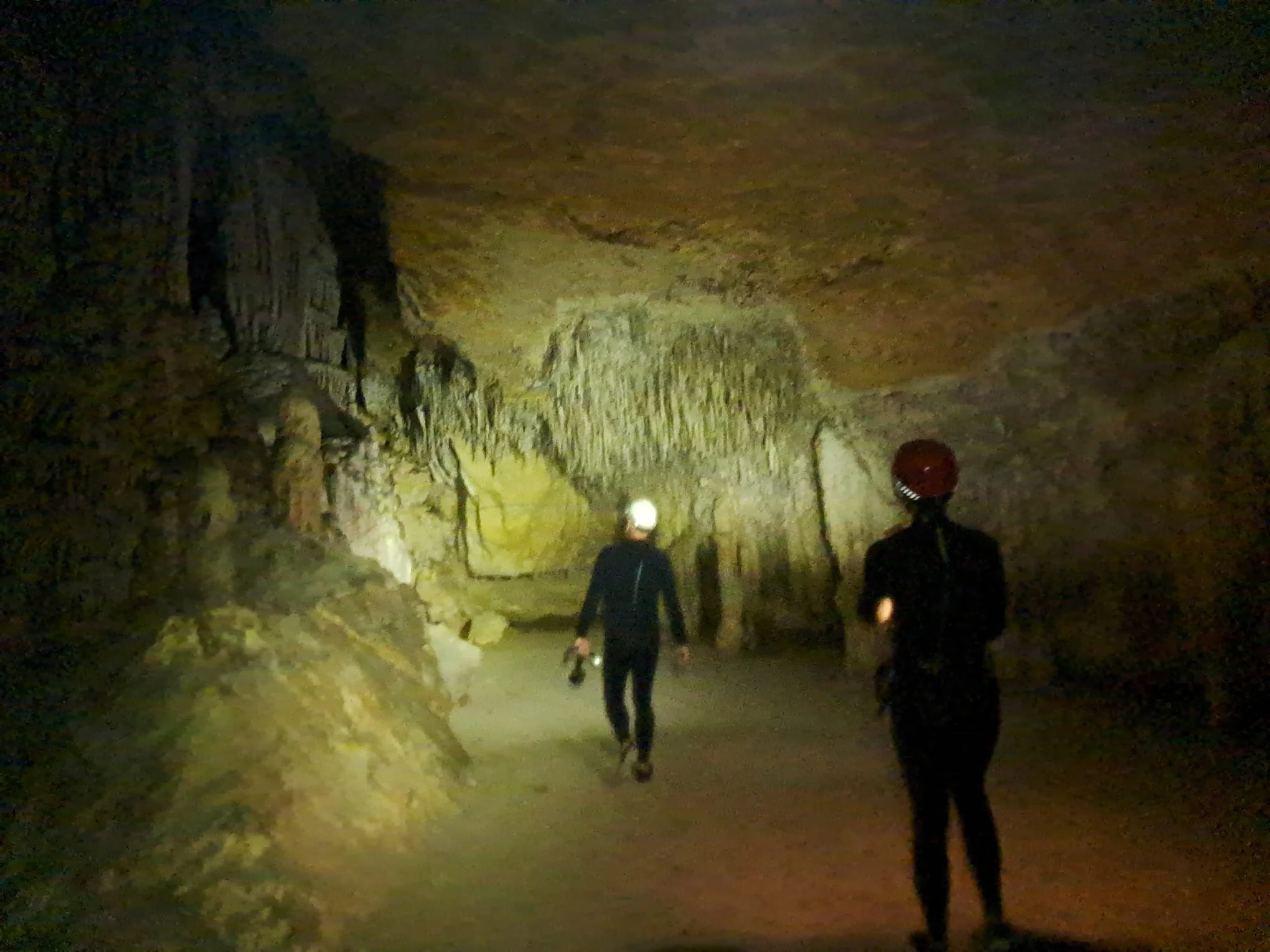 WhatsApp Image 2025-11-04 at 07.25.10_64e21f9f.jpg