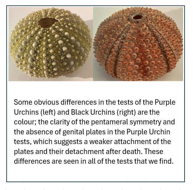 Test Differences.png